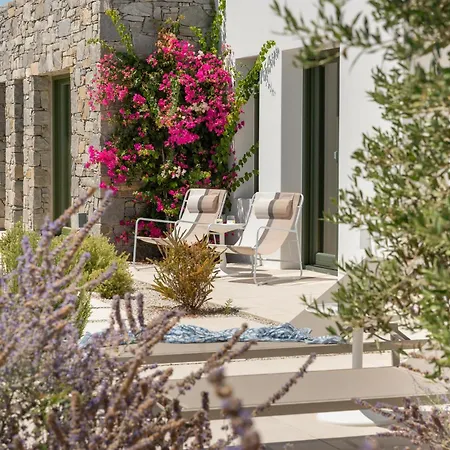 Ampelas 4br Villa, Private Pool, To Ktima Paros ヴィラ
