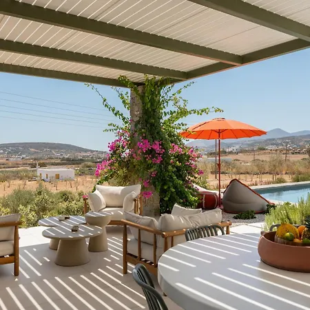 ヴィラ Ampelas 4br Villa, Private Pool, To Ktima Paros ナウサ