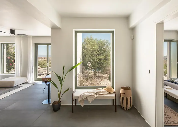 Ampelas 4br Villa, Private Pool, To Ktima Paros * Naoussa